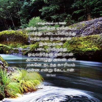 Picture 04 - 1 சாமுவேல் 4:16 TAMIRV - அந்த மனிதன் - Bible Verse Picture
