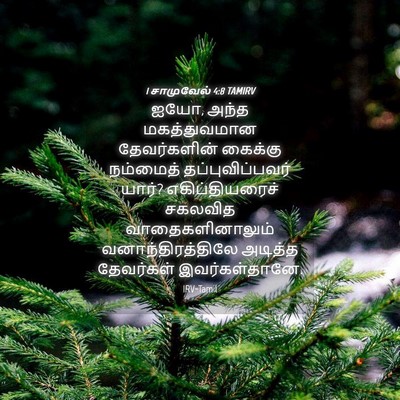 Picture 04 - 1 சாமுவேல் 4:8 TAMIRV - ஐயோ, அந்த - Bible Verse Picture