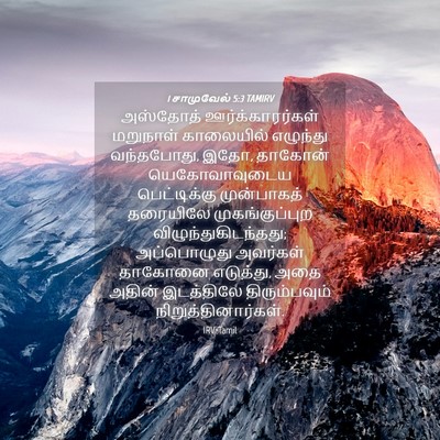 Picture 04 - 1 சாமுவேல் 5:3 TAMIRV - அஸ்தோத் - Bible Verse Picture