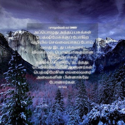 Picture 04 - 1 சாமுவேல் 6:12 TAMIRV - அப்பொழுது அந்தப் - Bible Verse Picture