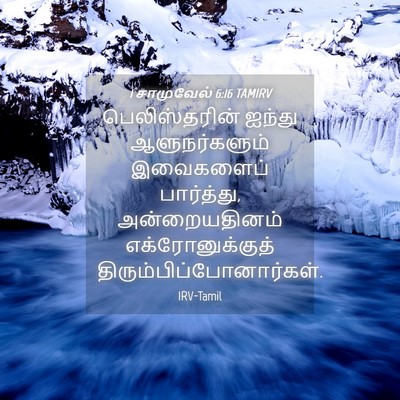 Picture 04 - 1 சாமுவேல் 6:16 TAMIRV - பெலிஸ்தரின் ஐந்து - Bible Verse Picture