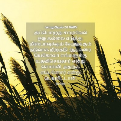 Picture 04 - 1 சாமுவேல் 7:12 TAMIRV - அப்பொழுது - Bible Verse Picture