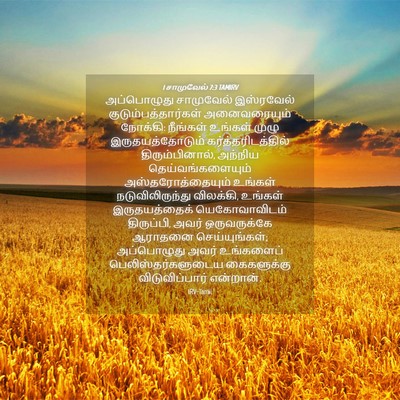 Picture 04 - 1 சாமுவேல் 7:3 TAMIRV - அப்பொழுது - Bible Verse Picture