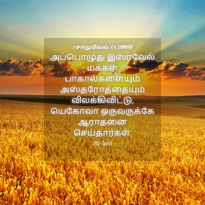 Picture 04 - 1 சாமுவேல் 7:4 TAMIRV - அப்பொழுது - Bible Verse Picture