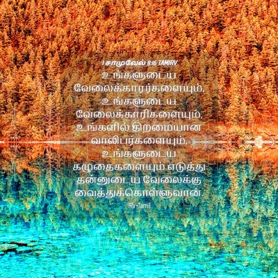 Picture 04 - 1 சாமுவேல் 8:16 TAMIRV - உங்களுடைய - Bible Verse Picture