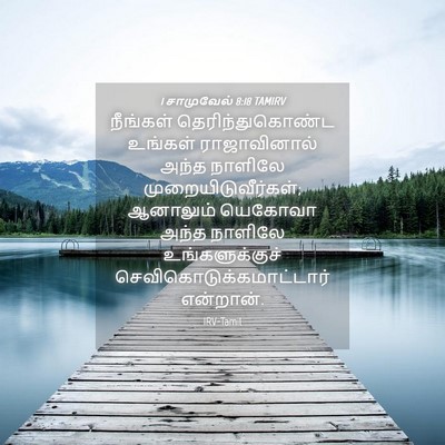 Picture 04 - 1 சாமுவேல் 8:18 TAMIRV - நீங்கள் - Bible Verse Picture