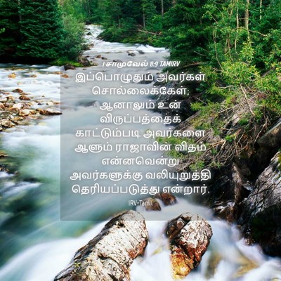 Picture 04 - 1 சாமுவேல் 8:9 TAMIRV - இப்பொழுதும் - Bible Verse Picture
