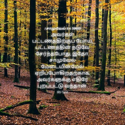 Picture 04 - 1 சாமுவேல் 9:14 TAMIRV - அவர்கள் - Bible Verse Picture