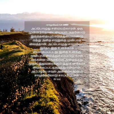 Picture 04 - 1 சாமுவேல் 9:24 TAMIRV - அப்பொழுது - Bible Verse Picture