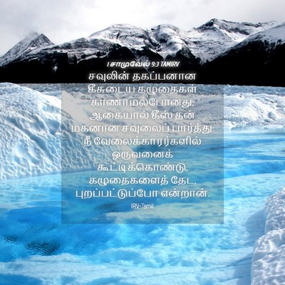 Picture 04 - 1 சாமுவேல் 9:3 TAMIRV - சவுலின் தகப்பனான - Bible Verse Picture