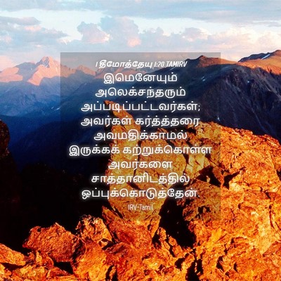 Picture 04 - 1 தீமோத்தேயு 1:20 TAMIRV - இமெனேயும் - Bible Verse Picture