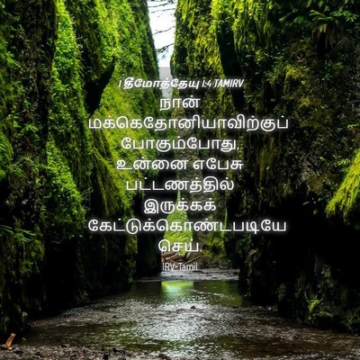 Picture 04 - 1 தீமோத்தேயு 1:4 TAMIRV - நான் - Bible Verse Picture