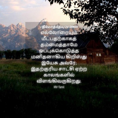 Picture 04 - 1 தீமோத்தேயு 2:6 TAMIRV - எல்லோரையும் - Bible Verse Picture