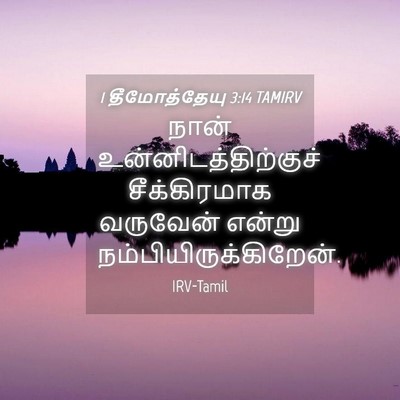 Picture 04 - 1 தீமோத்தேயு 3:14 TAMIRV - நான் - Bible Verse Picture