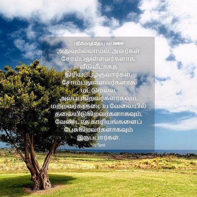 Picture 04 - 1 தீமோத்தேயு 5:13 TAMIRV - அதுவுமல்லாமல், - Bible Verse Picture