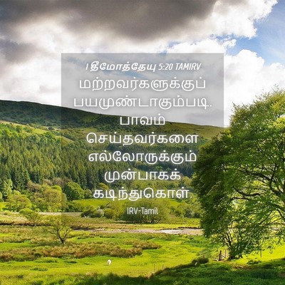 Picture 04 - 1 தீமோத்தேயு 5:20 TAMIRV - மற்றவர்களுக்குப் - Bible Verse Picture