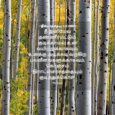 Picture 04 - 1 தீமோத்தேயு 5:23 TAMIRV - நீ இனிமேல் - Bible Verse Picture