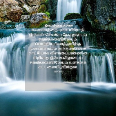Picture 04 - 1 தீமோத்தேயு 6:14 TAMIRV - எல்லாவற்றையும் - Bible Verse Picture
