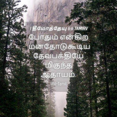 Picture 04 - 1 தீமோத்தேயு 6:6 TAMIRV - போதும் என்கிற - Bible Verse Picture