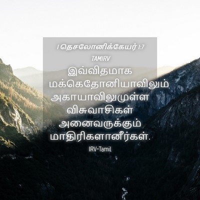 Picture 04 - 1 தெசலோனிக்கேயர் 1:7 TAMIRV - இவ்விதமாக - Bible Verse Picture
