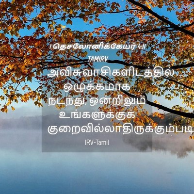 Picture 04 - 1 தெசலோனிக்கேயர் 4:11 TAMIRV -  - Bible Verse Picture