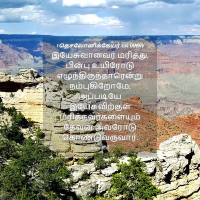 Picture 04 - 1 தெசலோனிக்கேயர் 4:14 TAMIRV - இயேசுவானவர் - Bible Verse Picture