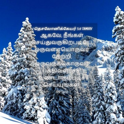 Picture 04 - 1 தெசலோனிக்கேயர் 5:11 TAMIRV - ஆகவே, நீங்கள் - Bible Verse Picture
