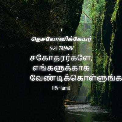 Picture 04 - 1 தெசலோனிக்கேயர் 5:25 TAMIRV - சகோதரர்களே, - Bible Verse Picture