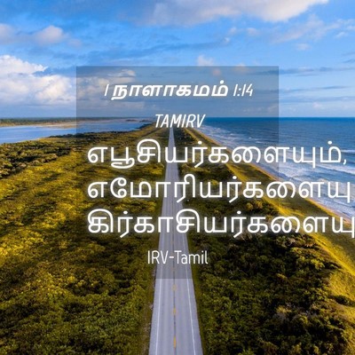 Picture 04 - 1 நாளாகமம் 1:14 TAMIRV - எபூசியர்களையும், - Bible Verse Picture