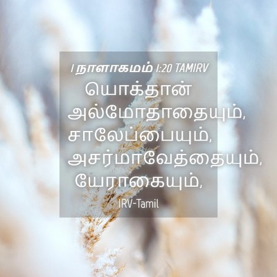 Picture 04 - 1 நாளாகமம் 1:20 TAMIRV - யொக்தான் - Bible Verse Picture