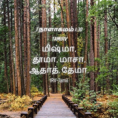 Picture 04 - 1 நாளாகமம் 1:30 TAMIRV - மிஷ்மா, தூமா, மாசா, - Bible Verse Picture