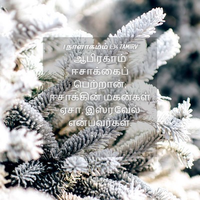 Picture 04 - 1 நாளாகமம் 1:34 TAMIRV - ஆபிரகாம் - Bible Verse Picture