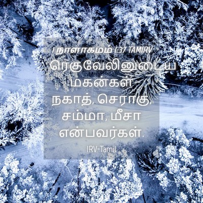 Picture 04 - 1 நாளாகமம் 1:37 TAMIRV - ரெகுவேலினுடைய - Bible Verse Picture