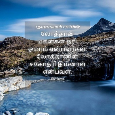 Picture 04 - 1 நாளாகமம் 1:39 TAMIRV - லோத்தான் மகன்கள் - Bible Verse Picture