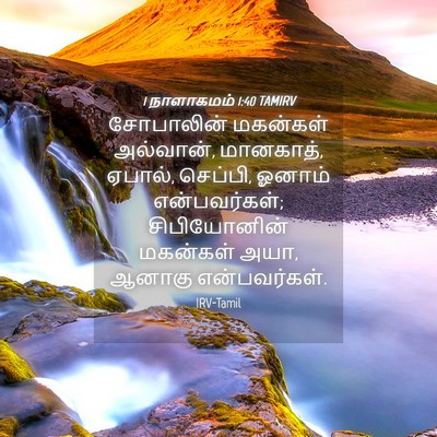 Picture 04 - 1 நாளாகமம் 1:40 TAMIRV - சோபாலின் மகன்கள் - Bible Verse Picture