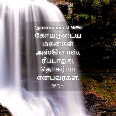 Picture 04 - 1 நாளாகமம் 1:6 TAMIRV - கோமருடைய மகன்கள் - Bible Verse Picture