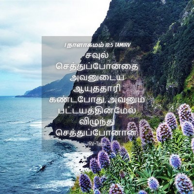 Picture 04 - 1 நாளாகமம் 10:5 TAMIRV - சவுல் - Bible Verse Picture