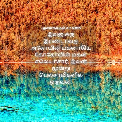 Picture 04 - 1 நாளாகமம் 11:12 TAMIRV - இவனுக்கு - Bible Verse Picture