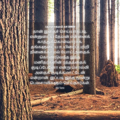Picture 04 - 1 நாளாகமம் 11:19 TAMIRV - நான் இதைச் - Bible Verse Picture