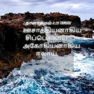 Picture 04 - 1 நாளாகமம் 11:29 TAMIRV - ஊசாத்தியனாகிய - Bible Verse Picture