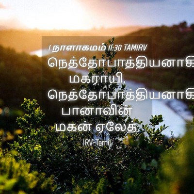 Picture 04 - 1 நாளாகமம் 11:30 TAMIRV -  - Bible Verse Picture