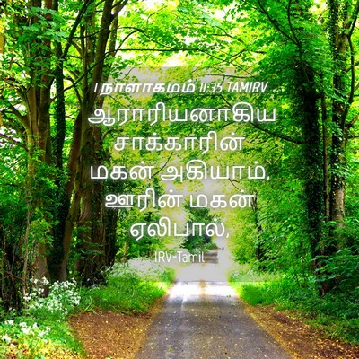 Picture 04 - 1 நாளாகமம் 11:35 TAMIRV - ஆராரியனாகிய - Bible Verse Picture