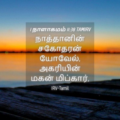 Picture 04 - 1 நாளாகமம் 11:38 TAMIRV - நாத்தானின் - Bible Verse Picture