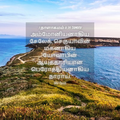 Picture 04 - 1 நாளாகமம் 11:39 TAMIRV - அம்மோனியனாகிய - Bible Verse Picture