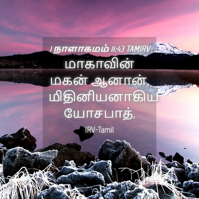 Picture 04 - 1 நாளாகமம் 11:43 TAMIRV - மாகாவின் மகன் - Bible Verse Picture