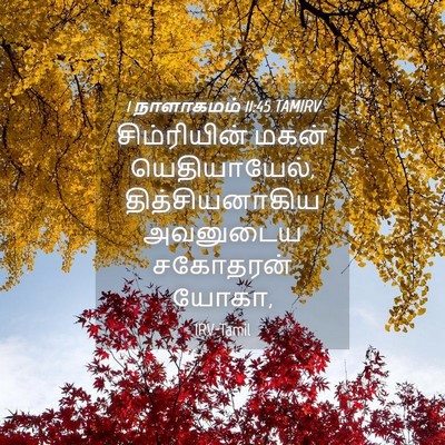 Picture 04 - 1 நாளாகமம் 11:45 TAMIRV - சிம்ரியின் மகன் - Bible Verse Picture