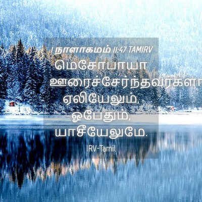 Picture 04 - 1 நாளாகமம் 11:47 TAMIRV - மெசோபாயா - Bible Verse Picture