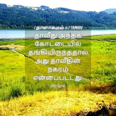 Picture 04 - 1 நாளாகமம் 11:7 TAMIRV - தாவீது அந்தக் - Bible Verse Picture