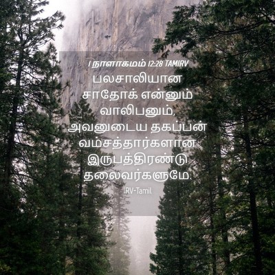 Picture 04 - 1 நாளாகமம் 12:28 TAMIRV - பலசாலியான சாதோக் - Bible Verse Picture