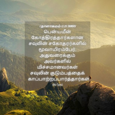 Picture 04 - 1 நாளாகமம் 12:29 TAMIRV - பென்யமீன் - Bible Verse Picture